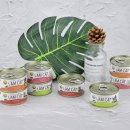 아이엠캣 이미지