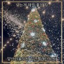 빨래터공원 화장실 | 앞산겨울정원 / 매일 인공눈이 내리는 이쁜 겨울 야경 앞산빨래터공원