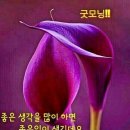 비앤비푸드시스템 네이버블로그
