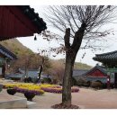 불암사 - 1086 | 불암사