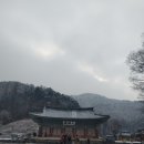 파랑새농산물유통 | 충남 논산 " 쌍계사" 대전 근교 가볼 만한 사찰