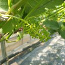 홍이농장 이미지