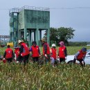 범방 마늘봉사 2 이미지