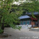 고산사 아미타불화 이미지