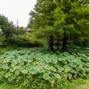 동해황토민박 이미지