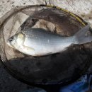 감곡낚시터 이미지