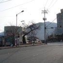 삼용상회