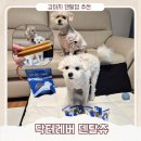 닥터표동물병원 | 강아지 덴탈껌 추천 알러지 걱정 없는 닥터레버 덴탈츄