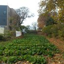 사창농장 이미지