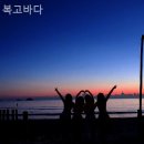 복고바다 이미지