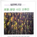 광양 포항 교류전 이미지