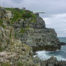 이기대 동생말 이미지