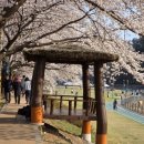 먹뱅이닭숯불구이 이미지