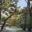 여주-1054 이미지