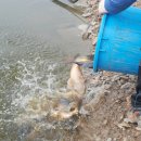 광탄낚시터 이미지