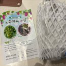 윤화농장 | BK 시들리스 포도- 윤화파파농원에서 구매한 솔직 후기