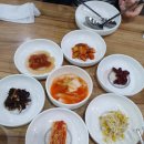 호프나무 Daum카페