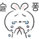 다산청아람어린이병원 이미지