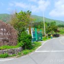 들국화목장 이미지