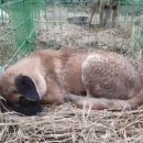 남은농장 이미지