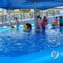 공원펫 이미지