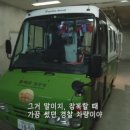 호수초 이미지