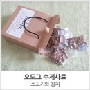 오도그 이미지