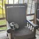 남미농장 | 나혼자 남미 휴직 여행 Day 22-23 살렌토 |커피투어 Luger, 살렌토 맛집 카페 추천, 살렌토에서 메데진