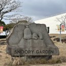 샐리가든 | 제주도 가볼만한곳, 스누피가든, 포토존 가득한 캐릭터 천국! 데이트 장소로도 추천!