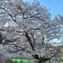 도계초 소달분교장 이미지