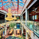 카페 900 이미지