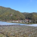 오방색권역 이미지