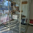 포항중앙동물병원 이미지