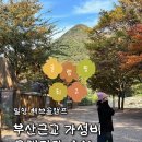 도로명미표시 | [공지] 가성비최고 밀양 해브솔캠핑 글램핑4번방 내돈내산 진심추천후기