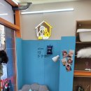 멍냥펫24 이미지