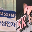 삼성·SK '50% 환원'인데…미국 반도체사는 왜 100%? 이미지