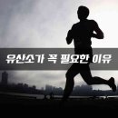 버드유산소운동