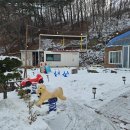 대관령안골황토펜션 이미지