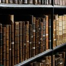 미미행정사 이미지