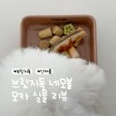 네모강아지 | [브릿지독] 네모볼 신상컬러 말차·모카·라떼 첫 공개 | 안정감 좋은 강아지 도자기 식기 추천