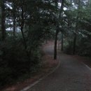 상록골프장 이미지