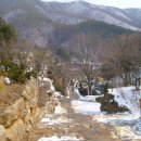 와우정사 이미지