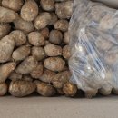 꽃할매님 알토란 이미지