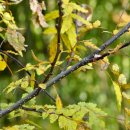 개산초등학교 이미지