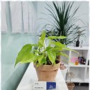 두산부동산중개사무소 이미지