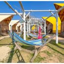 할리베어 이미지