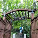 우암산등산로1 이미지