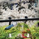 봄 노래연습장 이미지