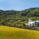 쿠키키즈펜션 이미지