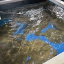 백김치새싹막회본점 이미지